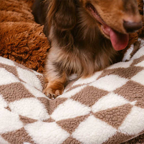 Cama Donut com Apoio Ortopédico - Funny Fuzzy