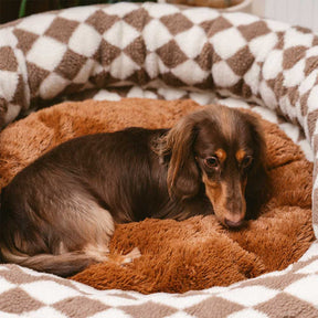 Cama Donut com Apoio Ortopédico - Funny Fuzzy