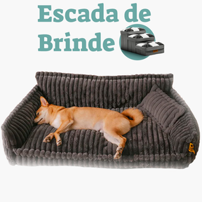 Sofá Relax Pet + Escada Brinde